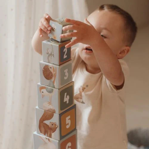 Little Dutch - Cubi impilabili