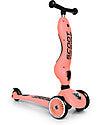 Scoot and ride - Highwaykick 1 Pesca