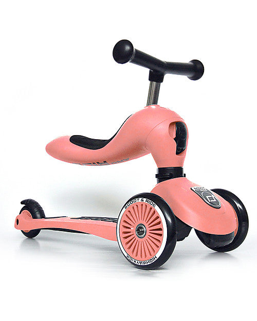 Scoot and ride - Highwaykick 1 Pesca